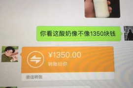 常德专业讨债公司有哪些核心服务？